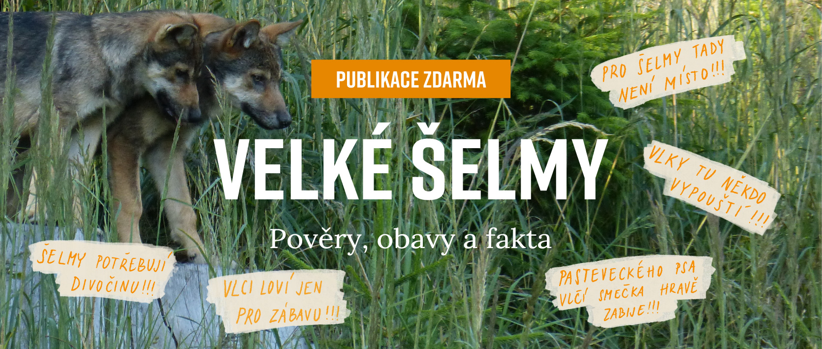 Stáhněte si zdarma naši publikaci a zjistěte, jak to je s šelmami doopravdy!