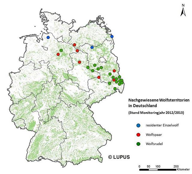 Aktuální výskyt vlčích smeček v Německu. Zdroj: http://www.wolfsregion-lausitz.de/