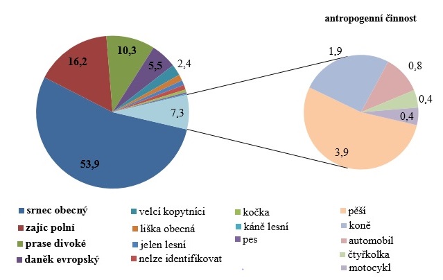 Využití ekoduktu jednotlivými druhy v %