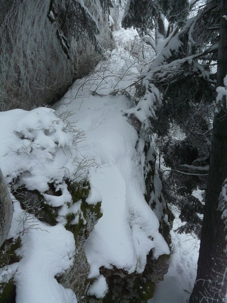 Rys se procházel po skalní římse. Foto: Leona Machalová