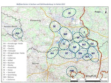 Rozmístění vlčích smeček na území Lužice z podzimu loňského roku. Zdroj: http://www.wolfsregion-lausitz.de/