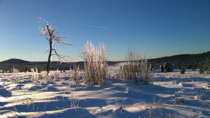 Pohled na horu Božídarský Špičák v Krušných horách z Ježíškovy cesty. Foto: Miroslav Dušek 