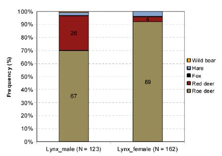 Rozdílné složení jídelníčku rysích samců a samic dle výzkumu přírodovědců z NP Šumava a NP Bavorský les. 