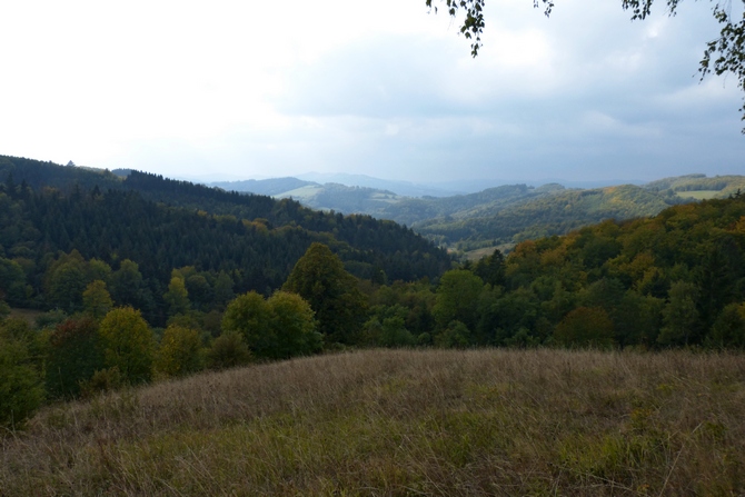 Vsetínské Beskydy, místo výskytu medvěda, foto: Michal Bojda