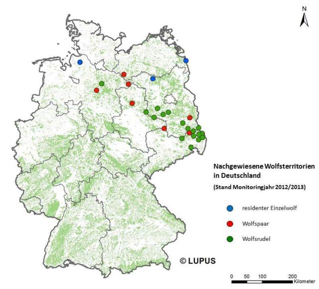 Rozmístění vlčích smeček v Německu. Zdroj: http://www.wolfsregion-lausitz.de/