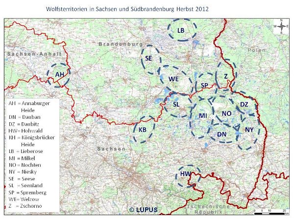 Aktuální rozmístění vlčích smeček, které se pohybují v oblasti německé Lužice. Zdroj: http://www.wolfsregion-lausitz.de 