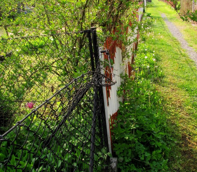 plot ohnutý medvědem; foto: Tomáš Krajča