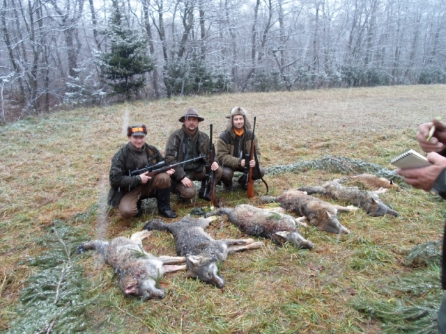 Poľovačka na vlkov z počátku prosince 2012. Zdroj: lovuzdar.sk.