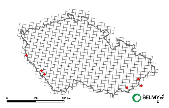 Map of wildcat occurrence in the Czech Republic