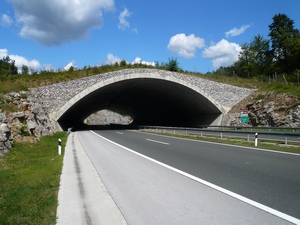 Ecoduct across the highway