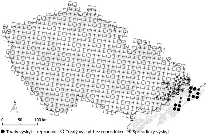 Výskyt meděda hnědého 2012-2016 (zdoj: Kutal et al. 2017)