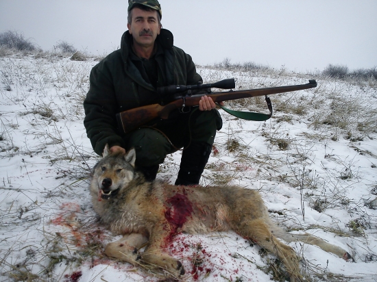 A hunter posing with a dead wolf