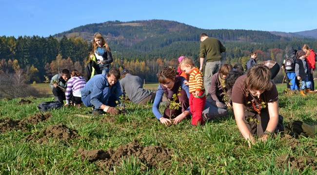 Volunteers planting trees