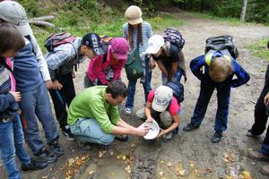 School children making a cast of a bear footprint