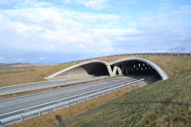 Ecoduct in Suchdol