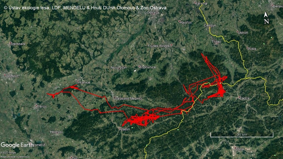 Mapa pohybu rysího samce Emana za necelý rok sledování pomocí GPS telemetrie