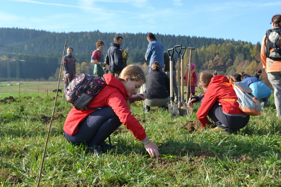  Dobrovolníci a místni obyvatelé vysazují první stromy v biokoridoru, důležitém pro migraci velkých šelem. 