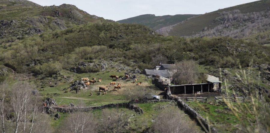 Beránek a vlk_foto z filmu
