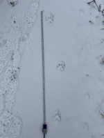 Rysí stopní dráha - Beskydy, Foto: Markéta Seidler