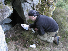 Luděk Bufka, zoolog ze Správy NP Šumava, odebírá vzorek rysího trusu pro genetickou analýzu, foto: Hana Bednářová