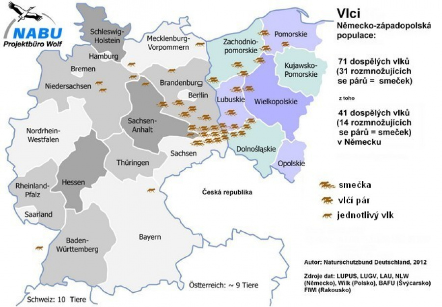 Mapa zobrazující výskyt vlků v Lužici na německo-polském pomezí