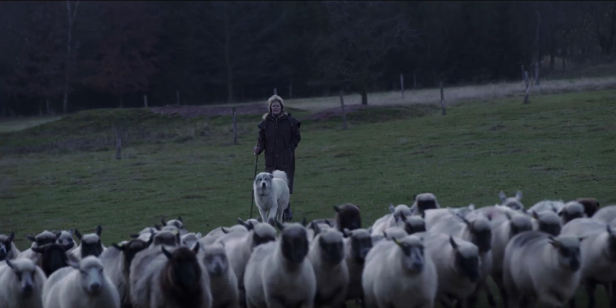 Beránek a vlk, snímek z filmu; zdroj: Frame films s.r.o.
