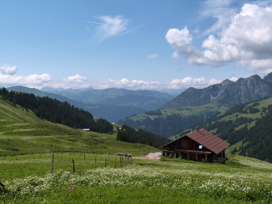 Domov švýcarských rysů. Foto: J. Volfová