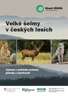 Velké šelmy v českých lesích: význam z pohledu ochrany přírody a myslivosti.