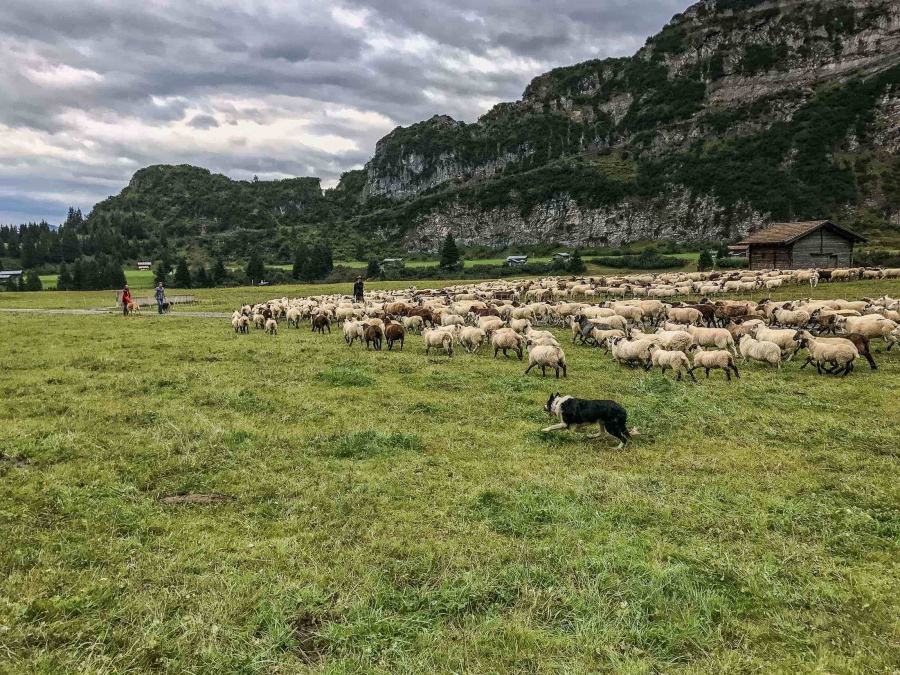 Zdroj: European Wilderness Society