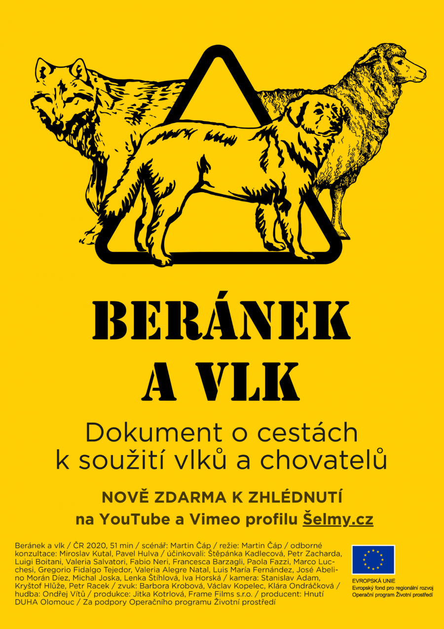 Plakát Beránek a vlk