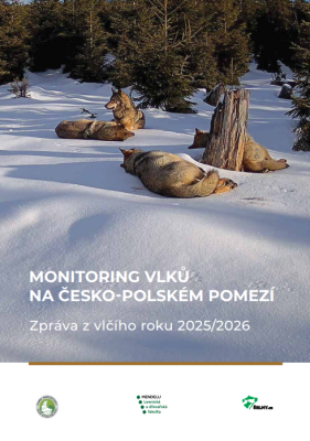 Monitoring vlků na česko-polském pomezí