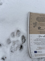 Rysí stopa - Beskydy, Foto: Markéta Seidler