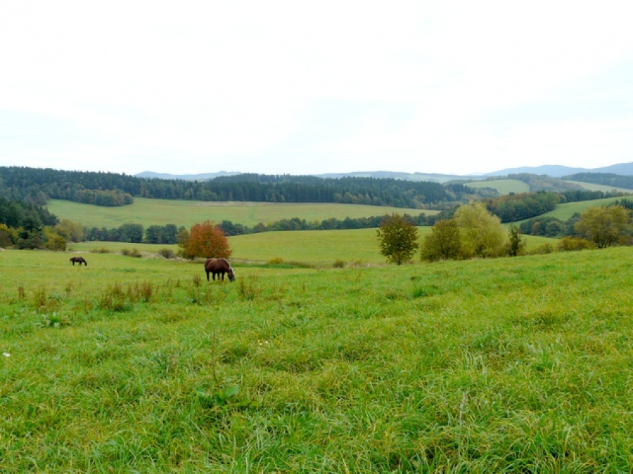 krajina u Lačnova v trase R49