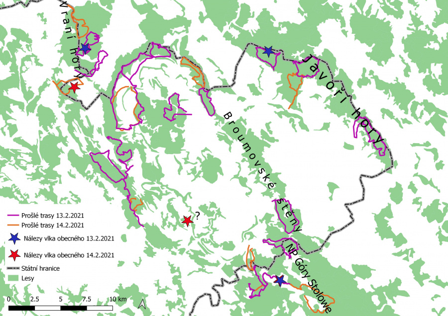 Prošlé trasy a nálezy vlka obecného během celoplošného mapování vlků na Broumovsku 13. - 14. 2. 2021 (neprůkazný nález je označený symbolem „?“)