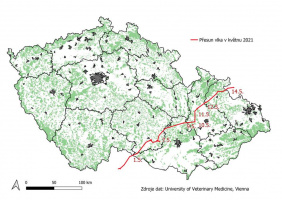 Mapa přesunu vlčího samce, jaro 2021; © Hnutí DUHA Šelmy